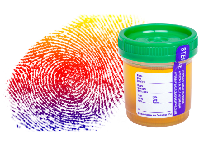 Fingerprinting & Drug Screening